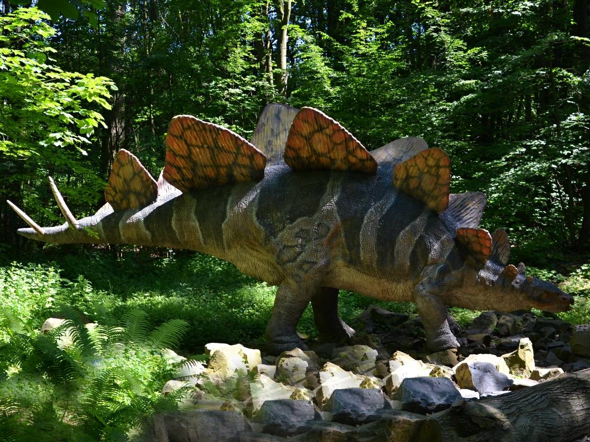 stegosaurus v dinoparku Vyškov